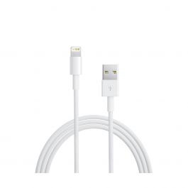 Apple - Câble Lightning vers USB (2 m)